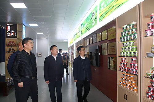 国家、省、市乡村振兴局等**一行莅临星空官方网页版
公司进行调研工作